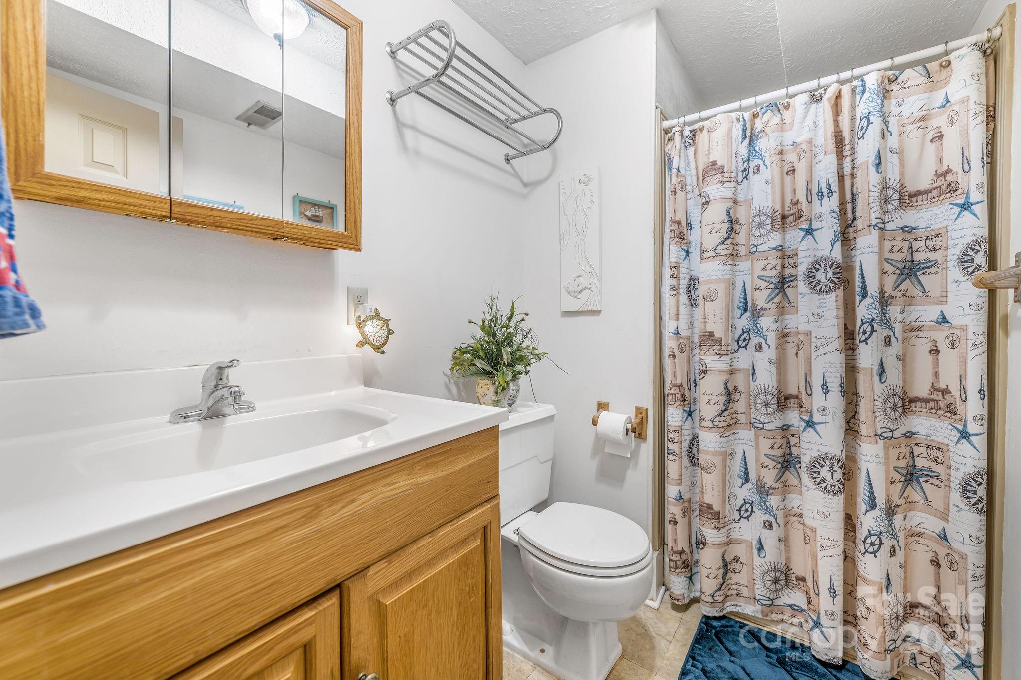 16 Jonway Court Candler NC 28715