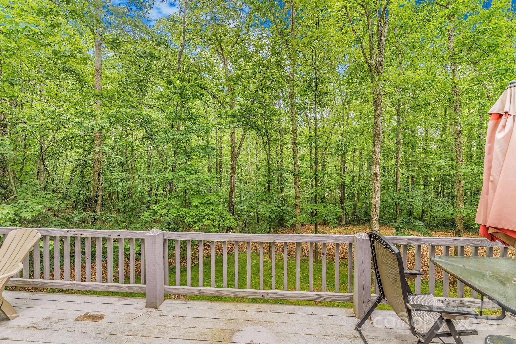 16 Jonway Court Candler NC 28715