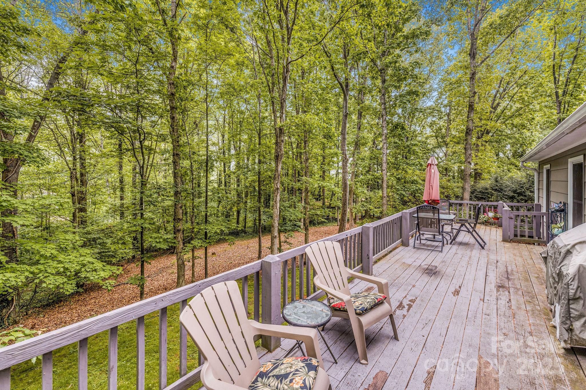 16 Jonway Court Candler NC 28715
