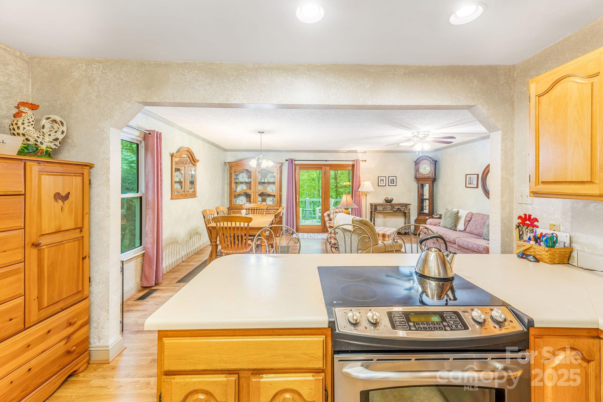 16 Jonway Court Candler NC 28715