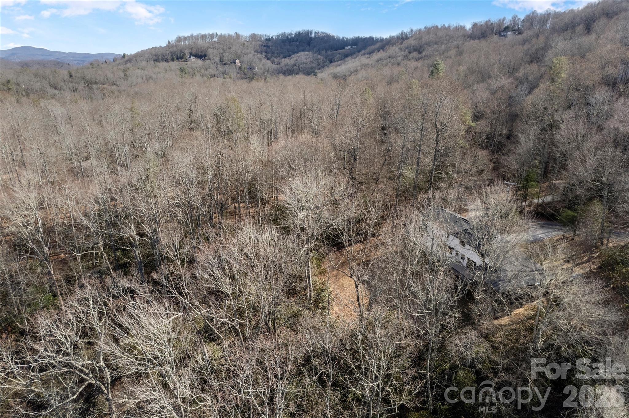 1202 Davis Mountain Road Hendersonville NC 28739