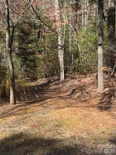 667 Pinewood Knoll Drive Hendersonville NC 28739