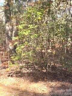 667 Pinewood Knoll Drive Hendersonville NC 28739