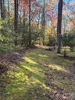 667 Pinewood Knoll Drive Hendersonville NC 28739