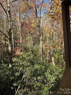 667 Pinewood Knoll Drive Hendersonville NC 28739