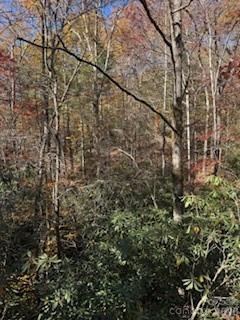 667 Pinewood Knoll Drive Hendersonville NC 28739
