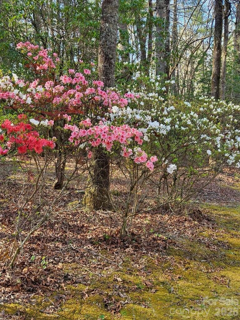 667 Pinewood Knoll Drive Hendersonville NC 28739