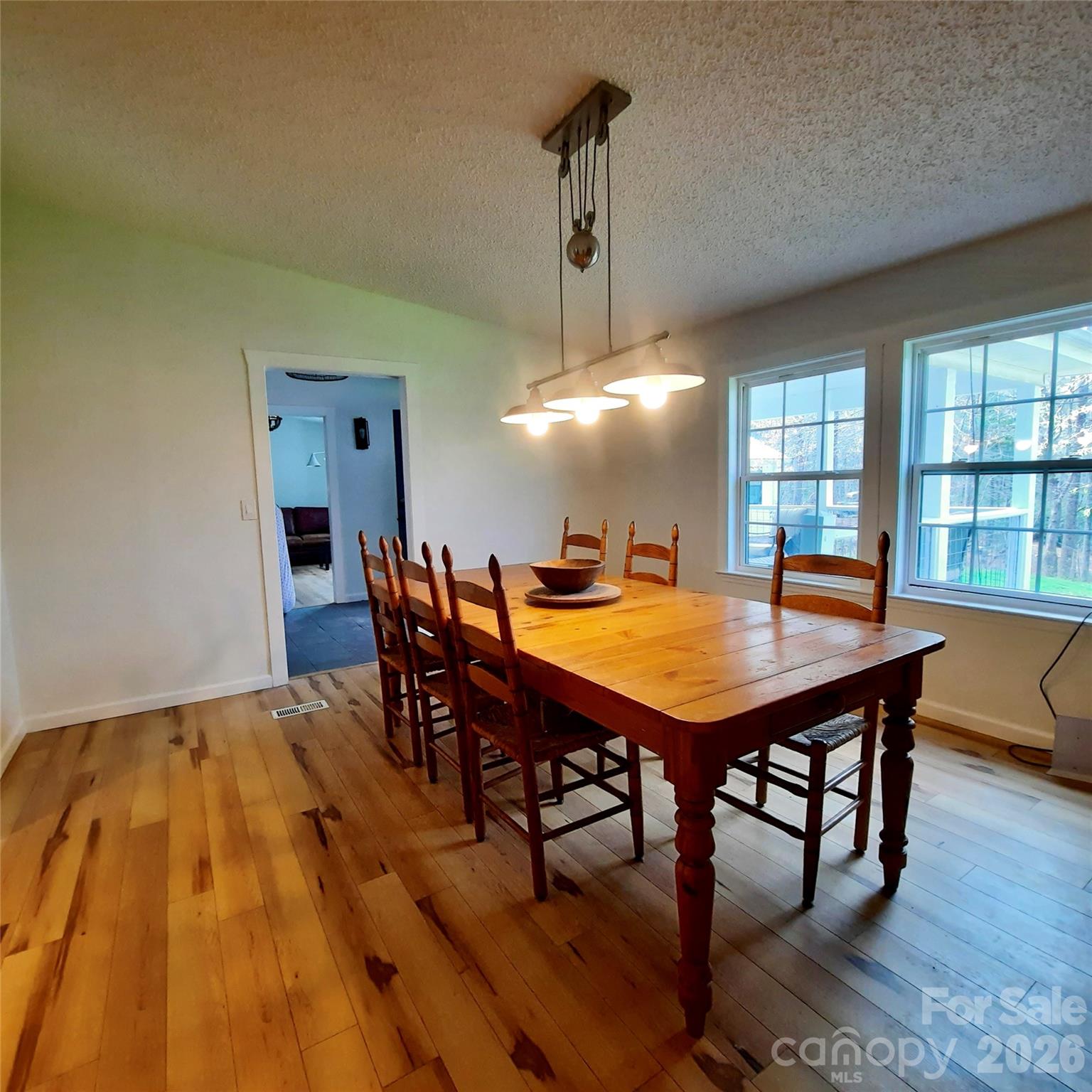 119 Grant Lane Saluda NC 28773