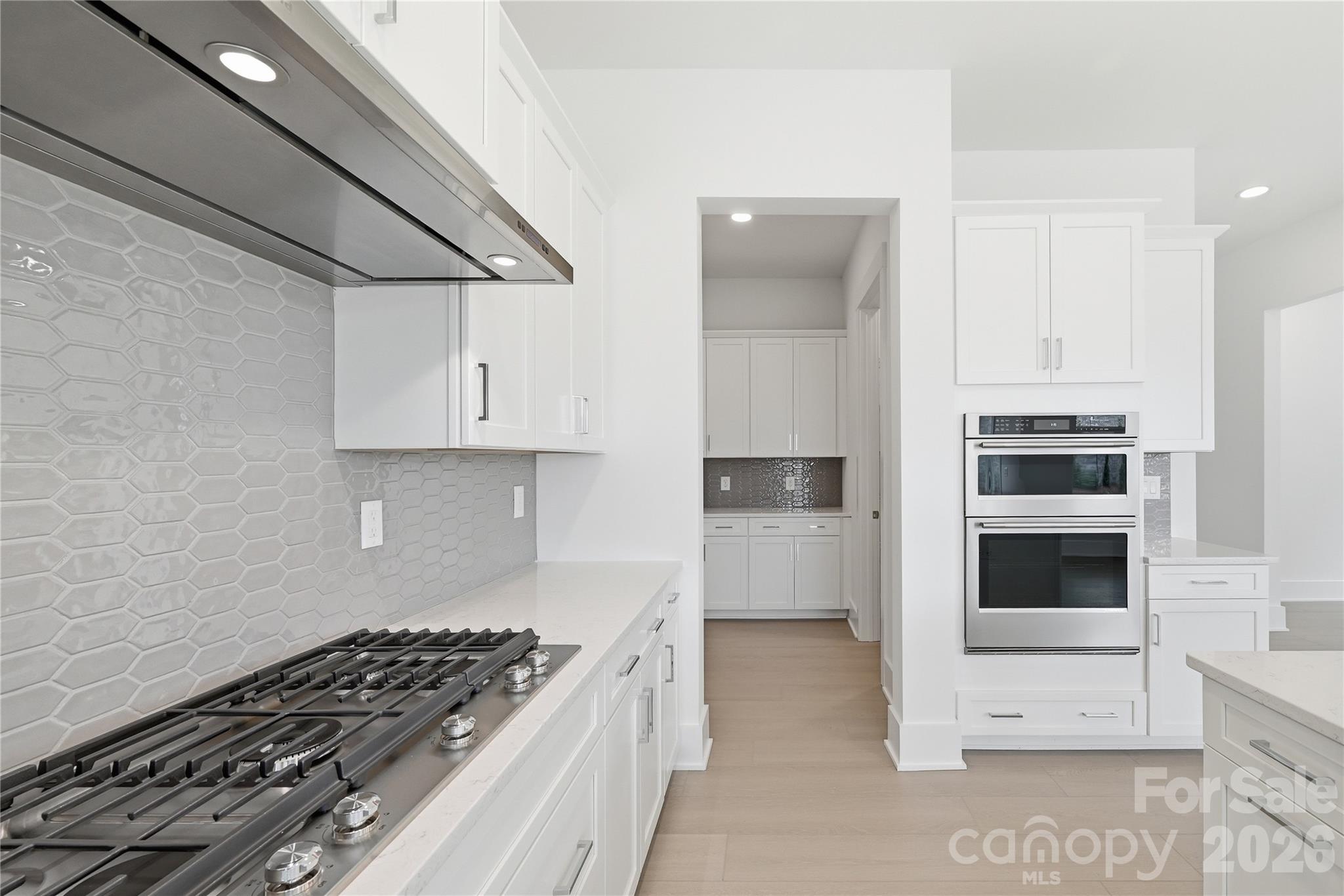 1075 Pinecone Avenue Indian Land SC 29707