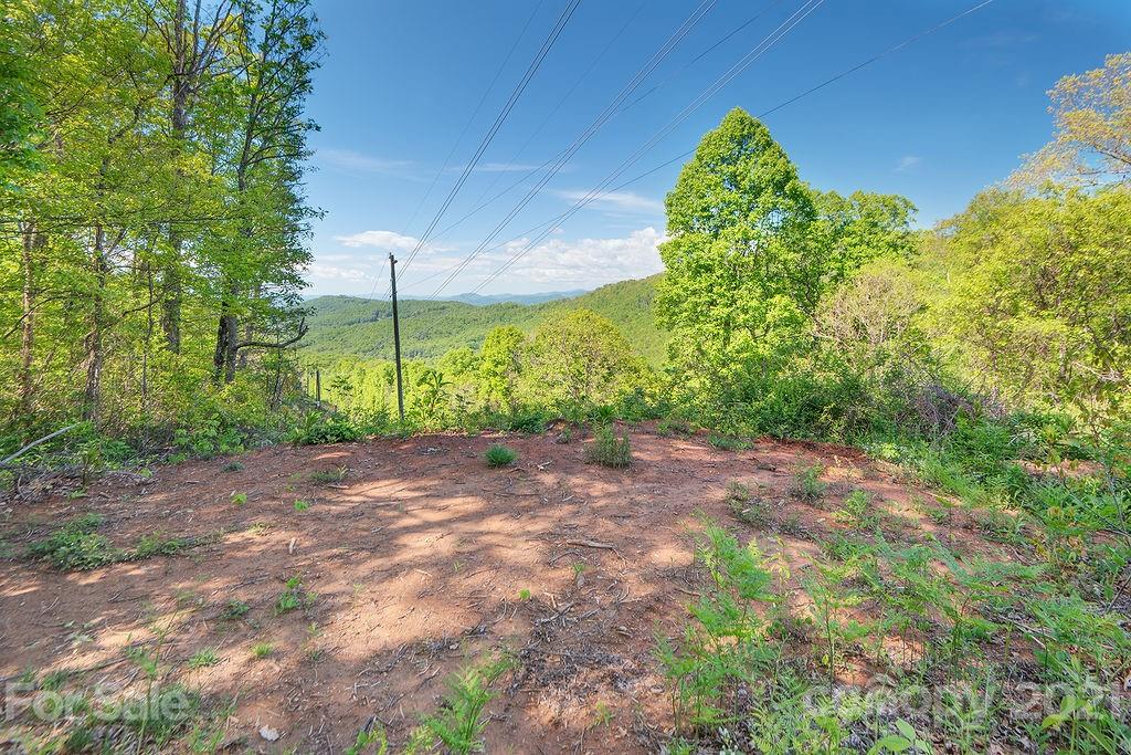 6 Smokey Road Asheville NC 28803