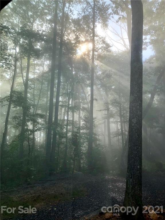 6 Smokey Road Asheville NC 28803
