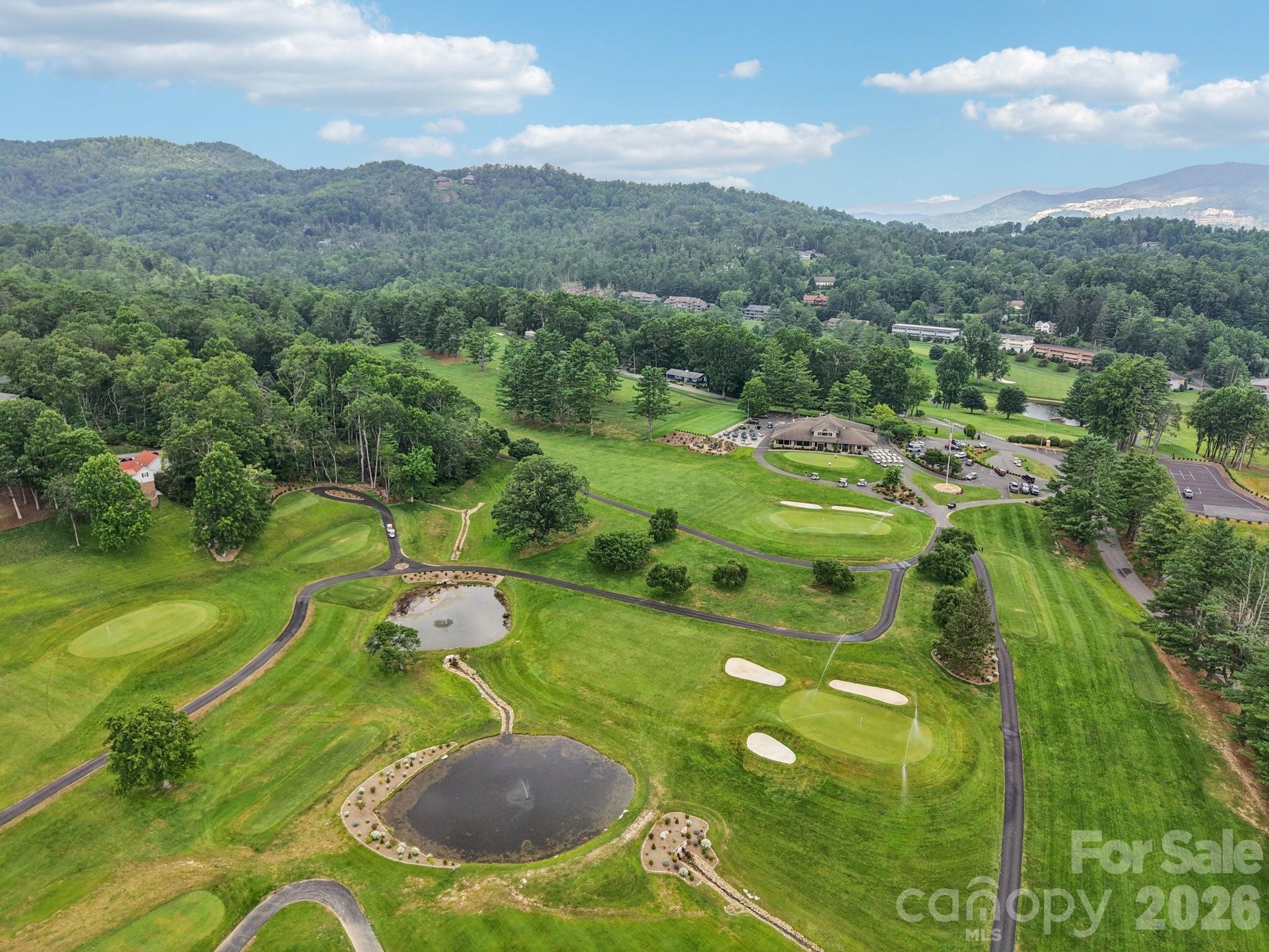 1063 Swiss Pine Lake Drive Spruce Pine NC 28777
