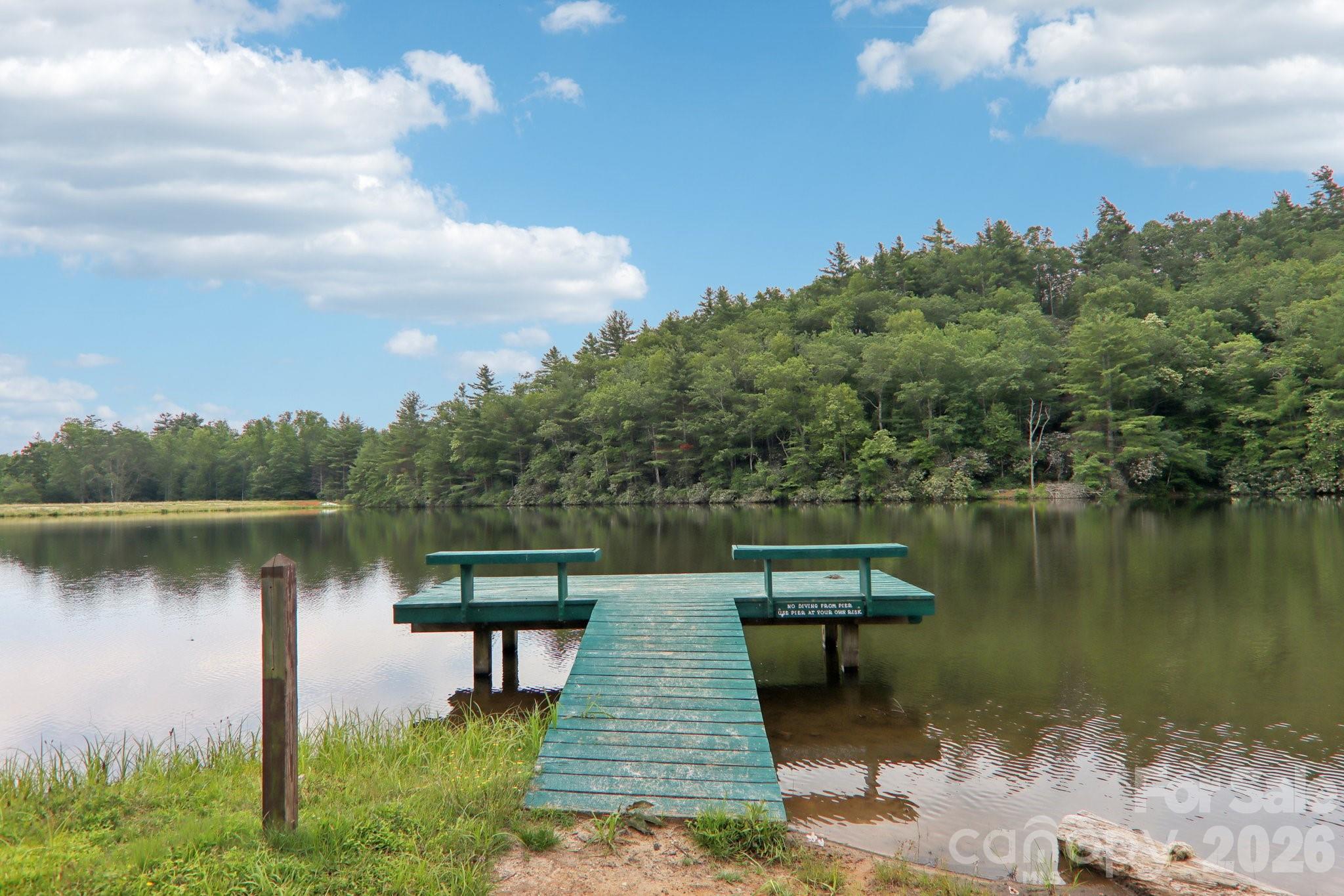 1063 Swiss Pine Lake Drive Spruce Pine NC 28777