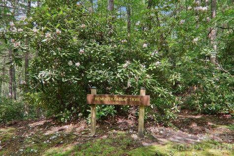 1063 Swiss Pine Lake Drive Spruce Pine NC 28777