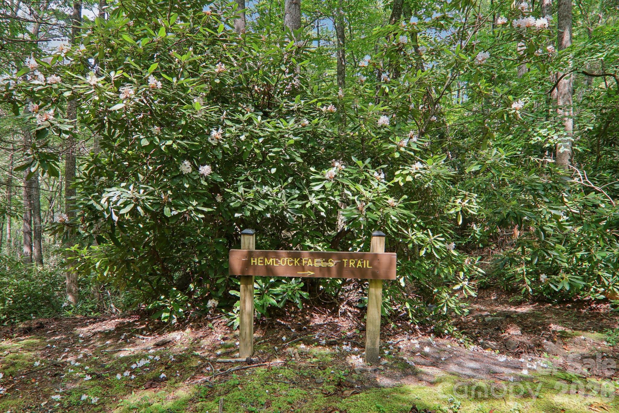 1063 Swiss Pine Lake Drive Spruce Pine NC 28777