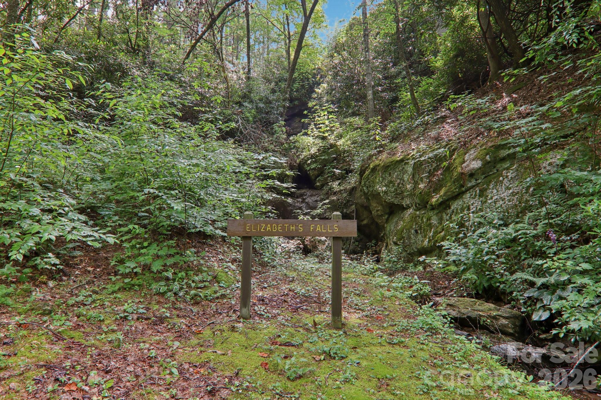 1063 Swiss Pine Lake Drive Spruce Pine NC 28777
