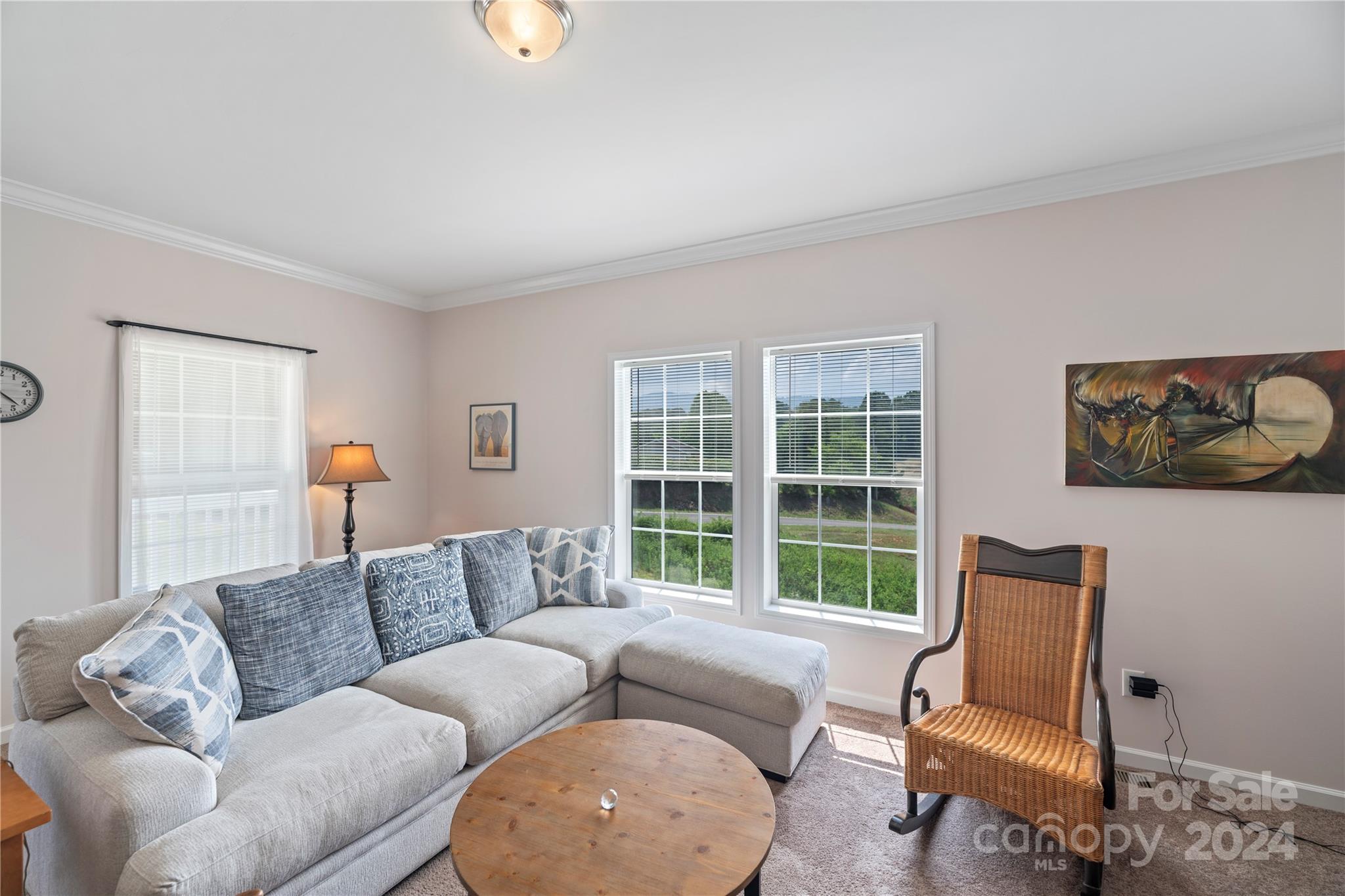 18 Clarks Chapel Extension Weaverville NC 28787