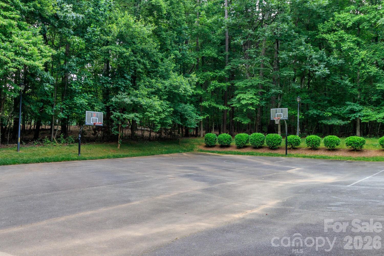 6208 Pumpernickel Lane Wesley Chapel NC 28110