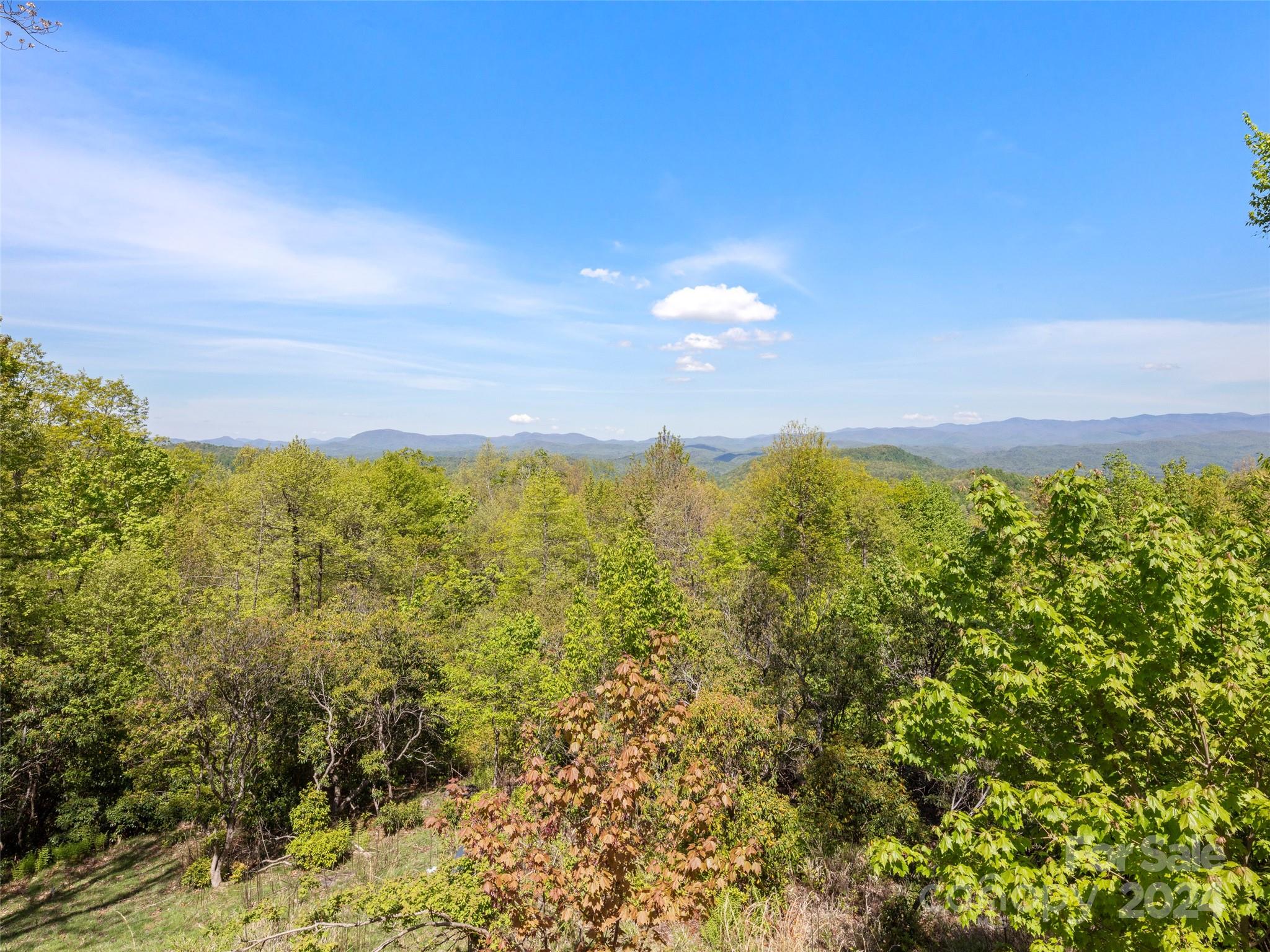 1103 Whitetail Trail Rosman NC 28772