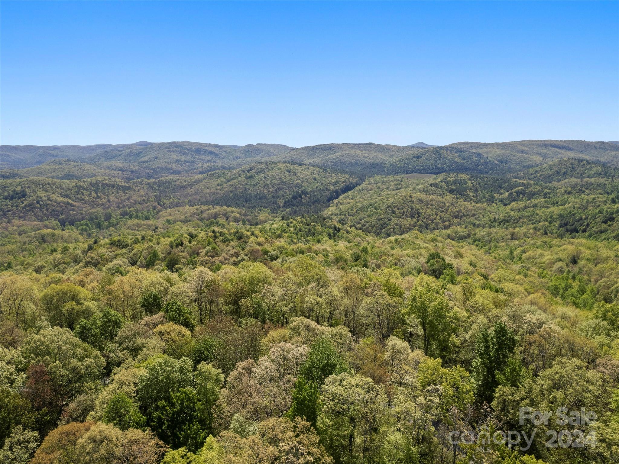 1103 Whitetail Trail Rosman NC 28772