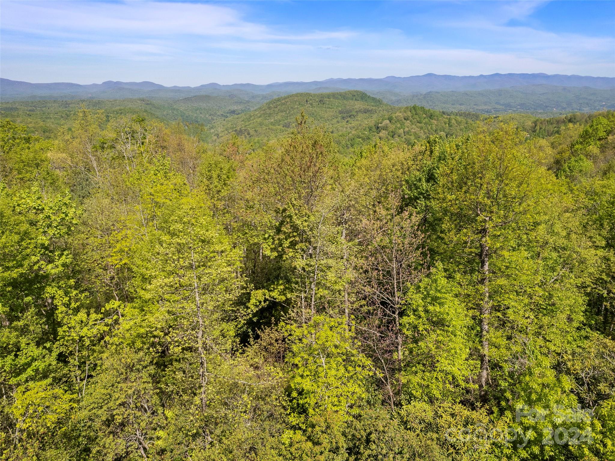 1103 Whitetail Trail Rosman NC 28772