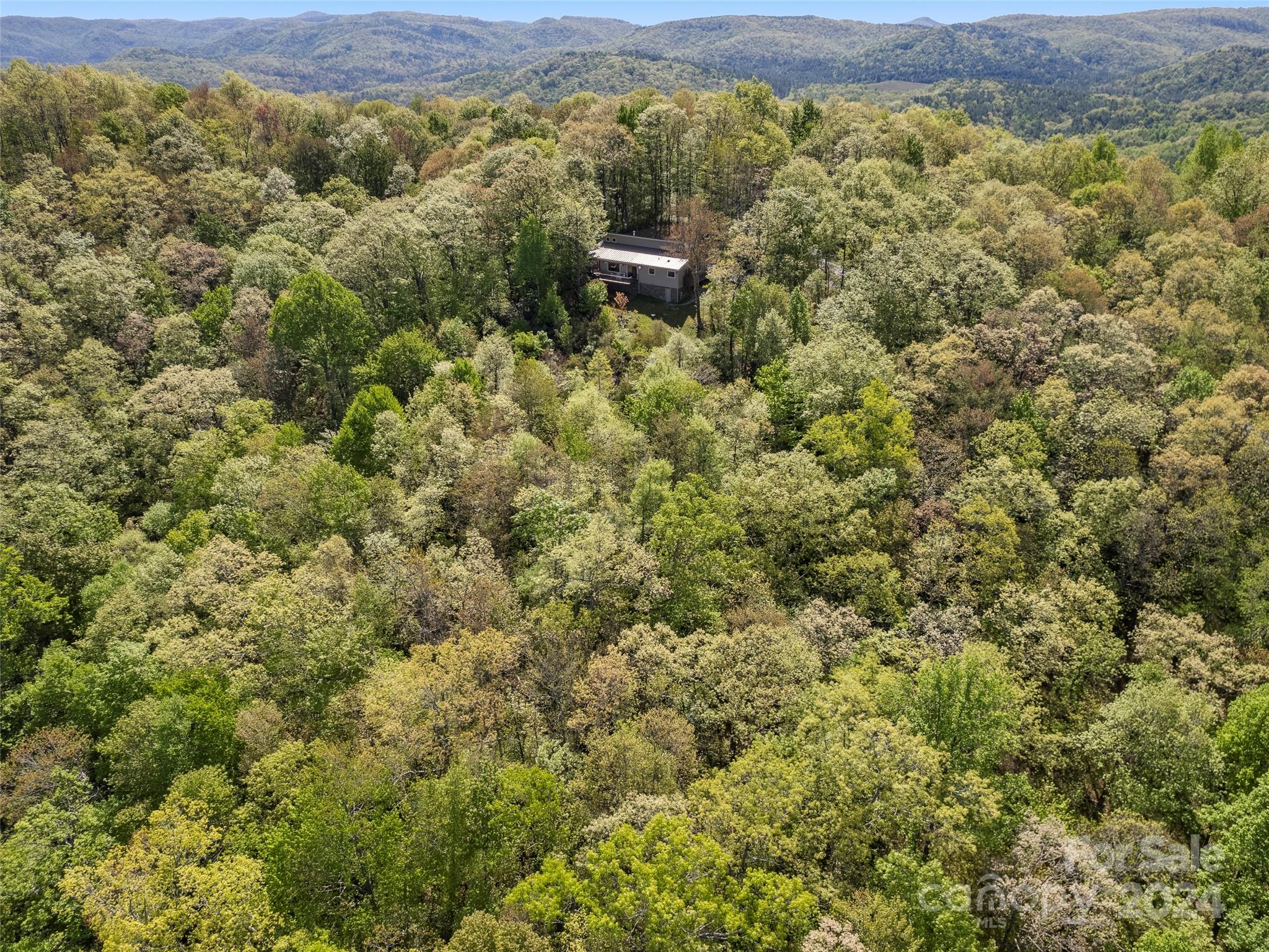 1103 Whitetail Trail Rosman NC 28772