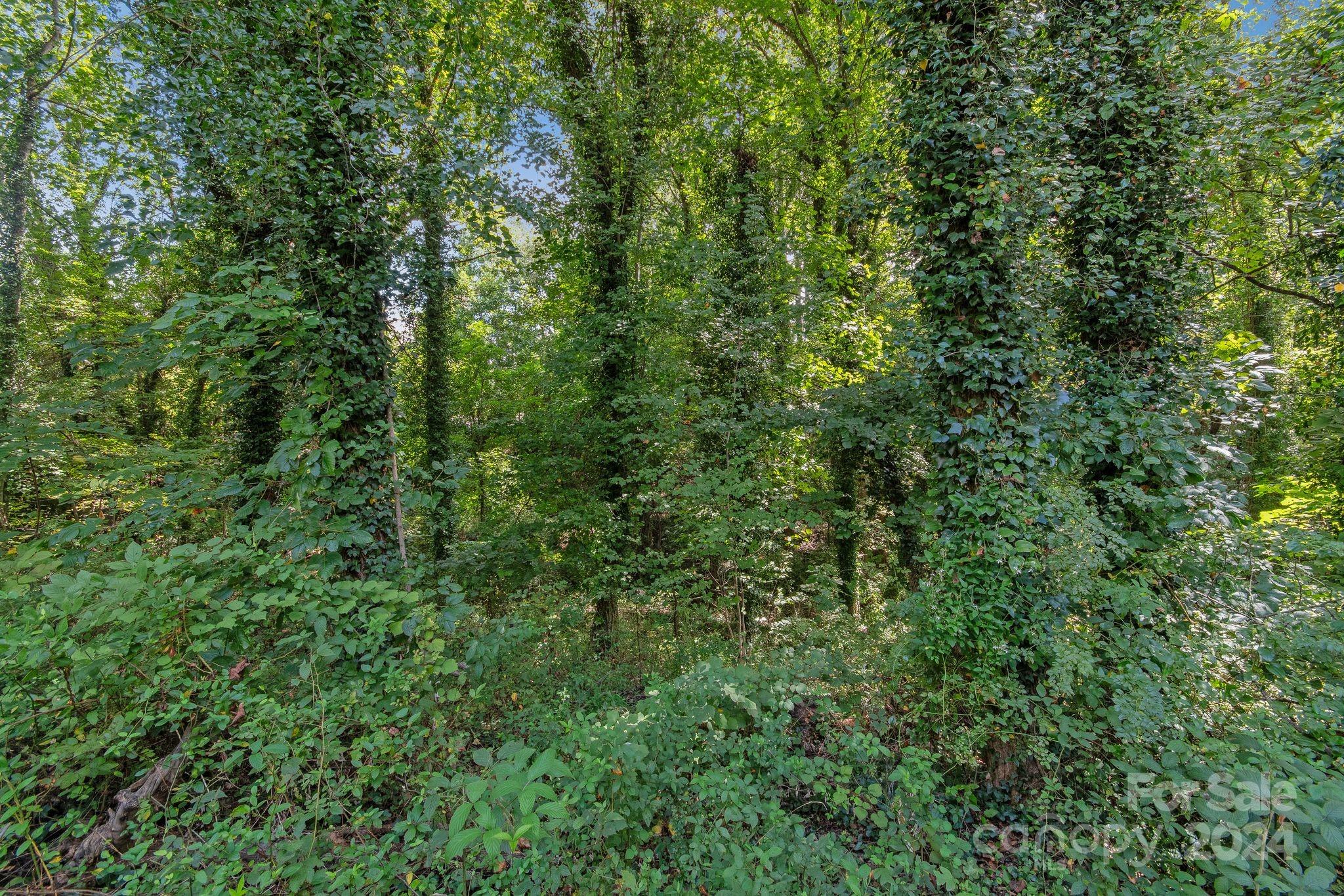 112 Tail Feather Lane Candler NC 28715