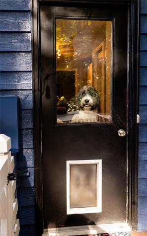 608 Hiawassee Avenue Black Mountain NC 28711