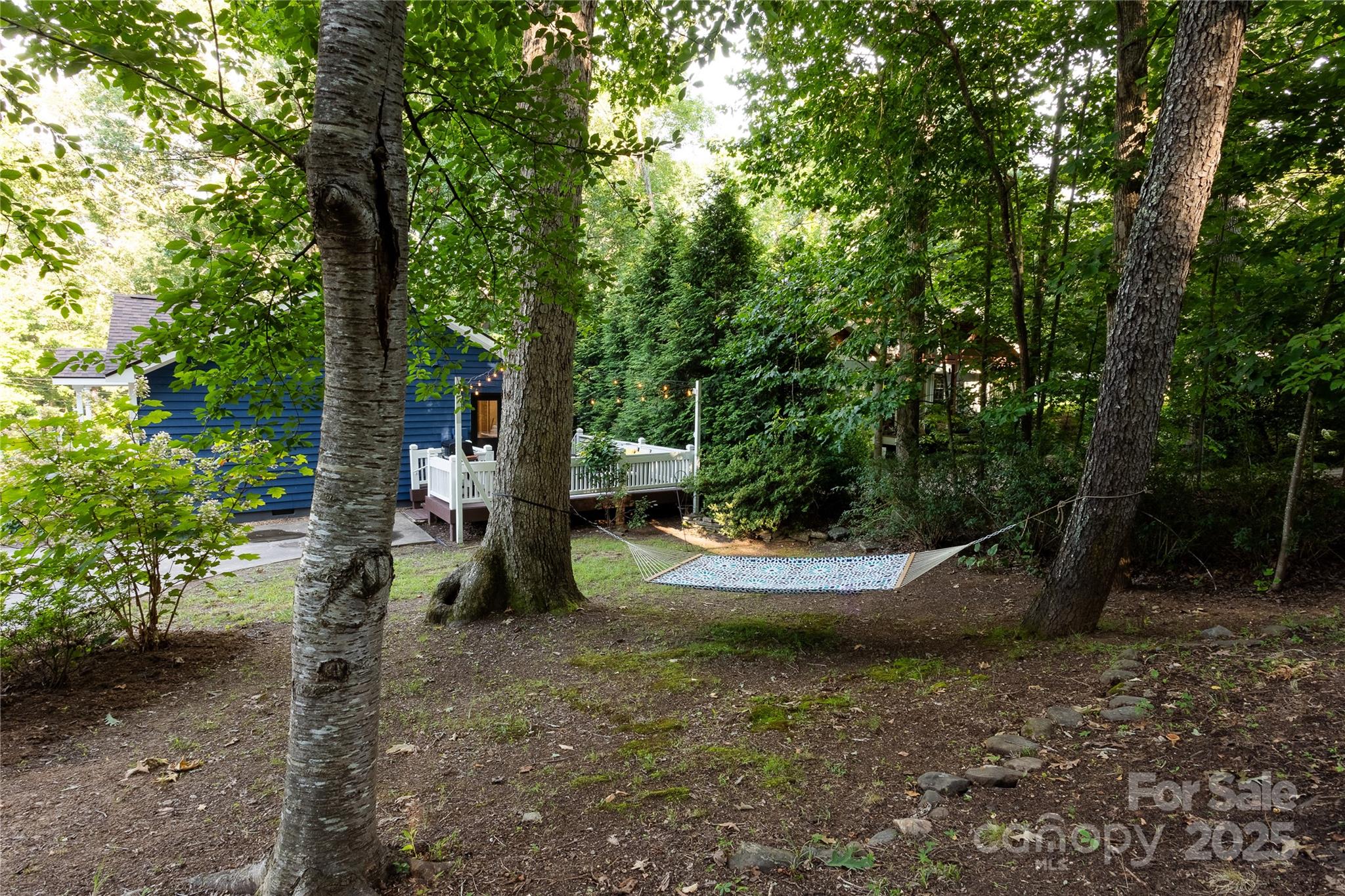 608 Hiawassee Avenue Black Mountain NC 28711