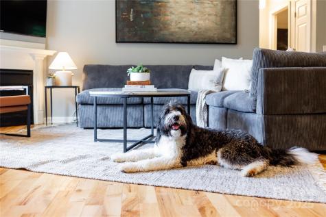 608 Hiawassee Avenue Black Mountain NC 28711