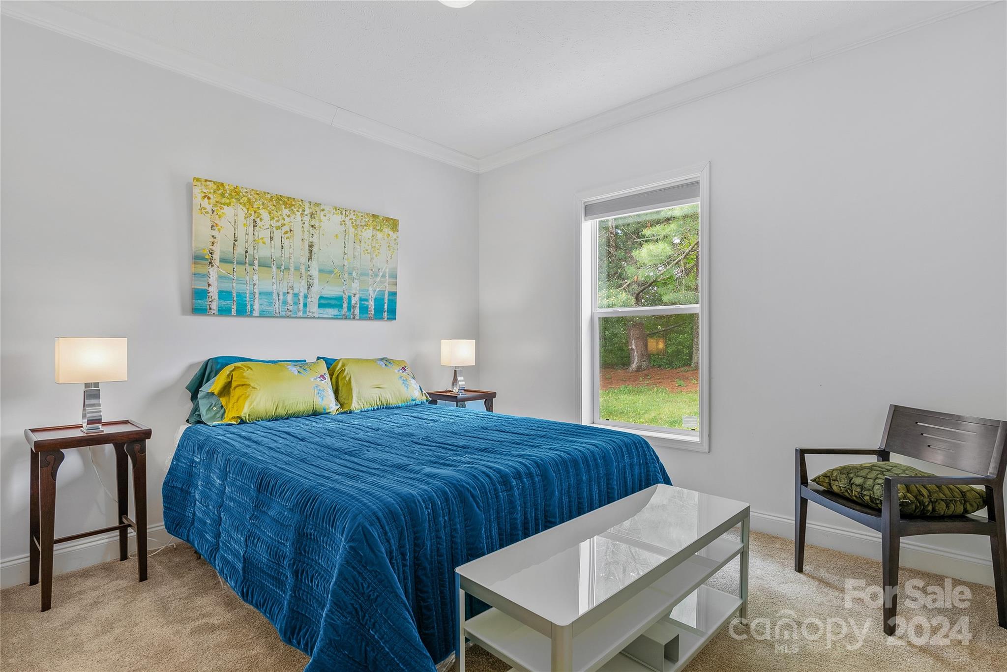 9 Cedar Hill Road Asheville NC 28806