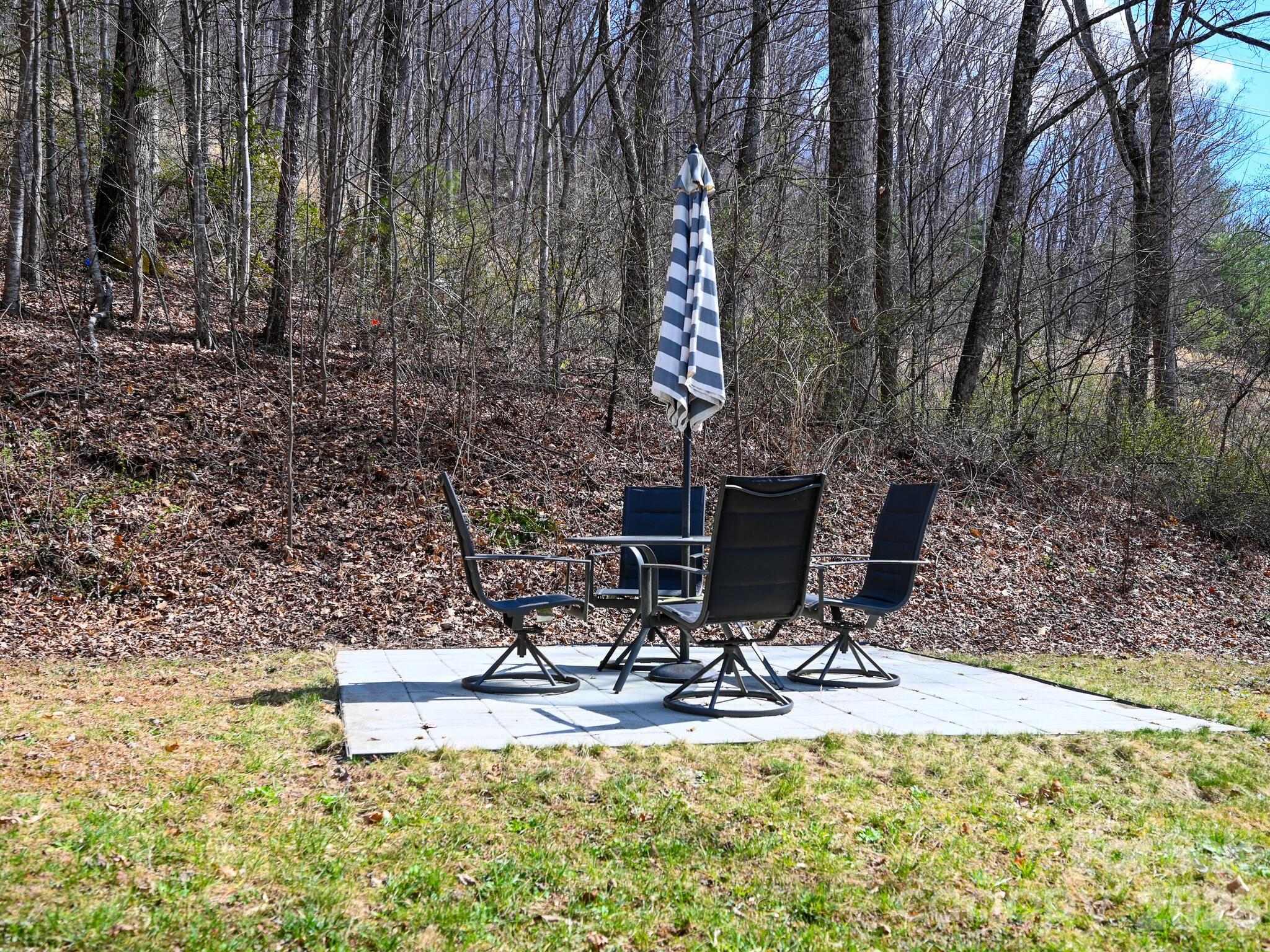 15 Forest Run Drive Asheville NC 28803