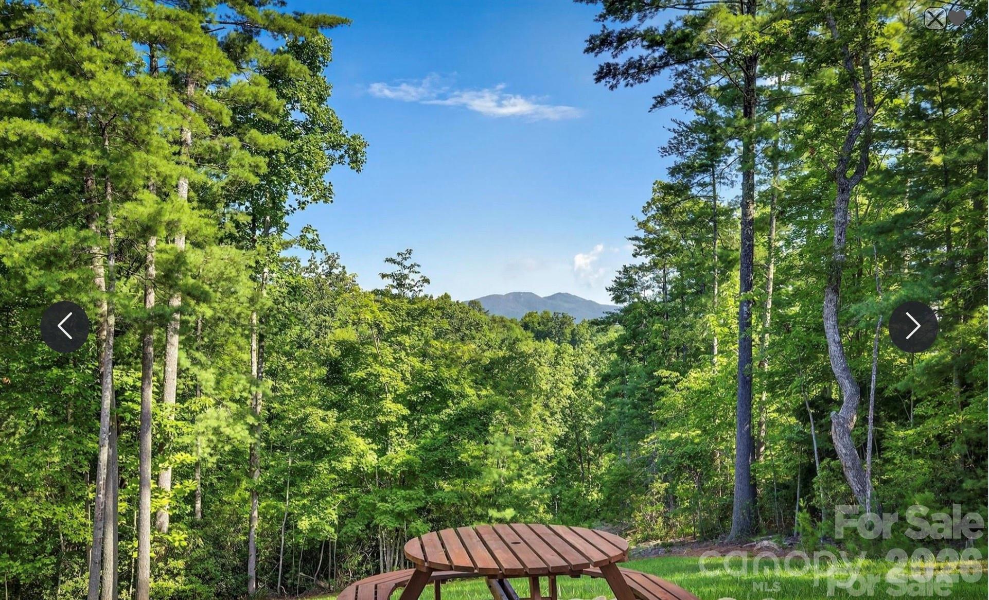 217 Sycamore Drive Nebo NC 28761