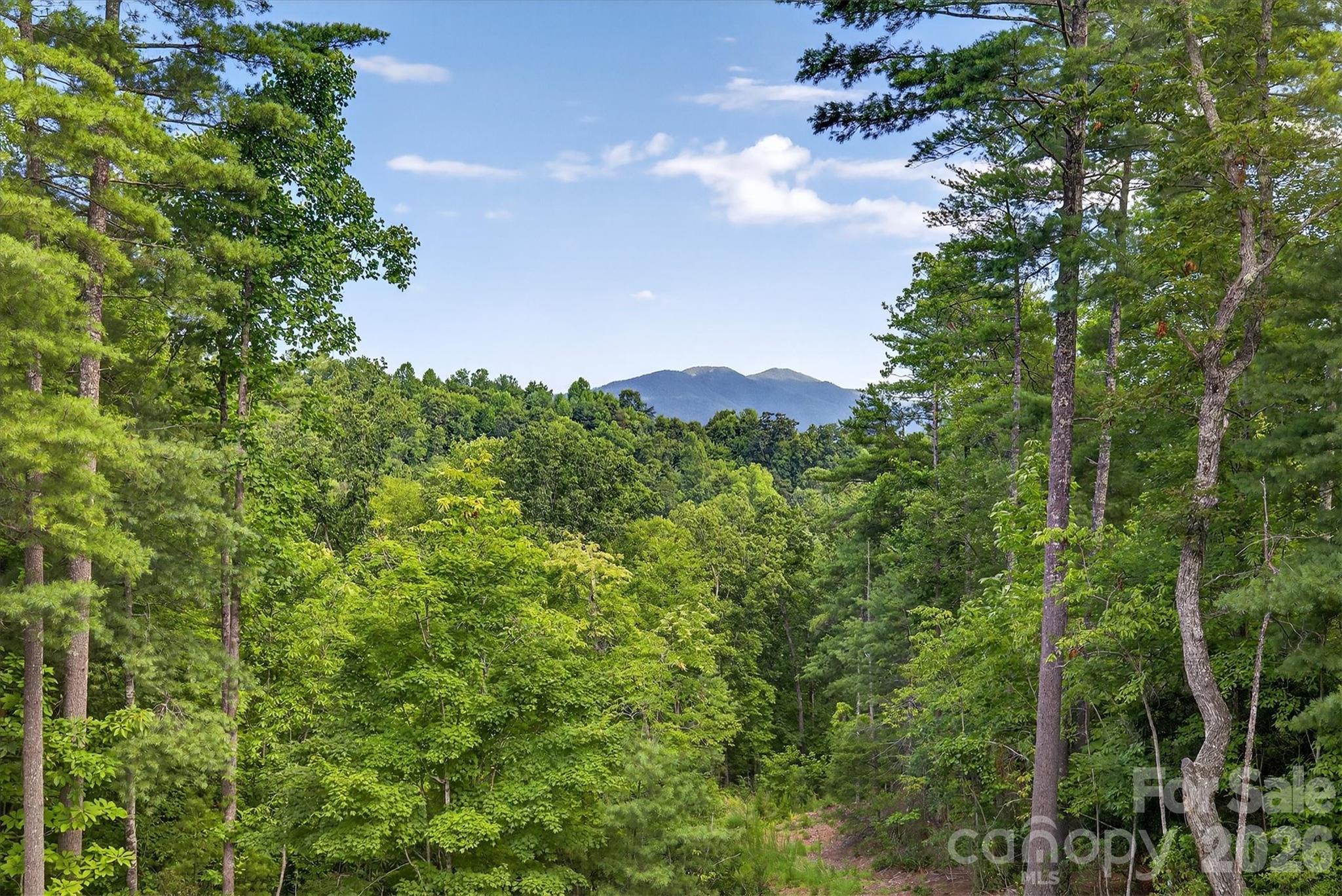 217 Sycamore Drive Nebo NC 28761