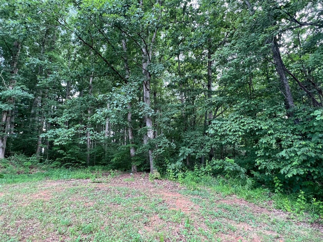6581 Emerald Isle Drive Sherrills Ford NC 28673