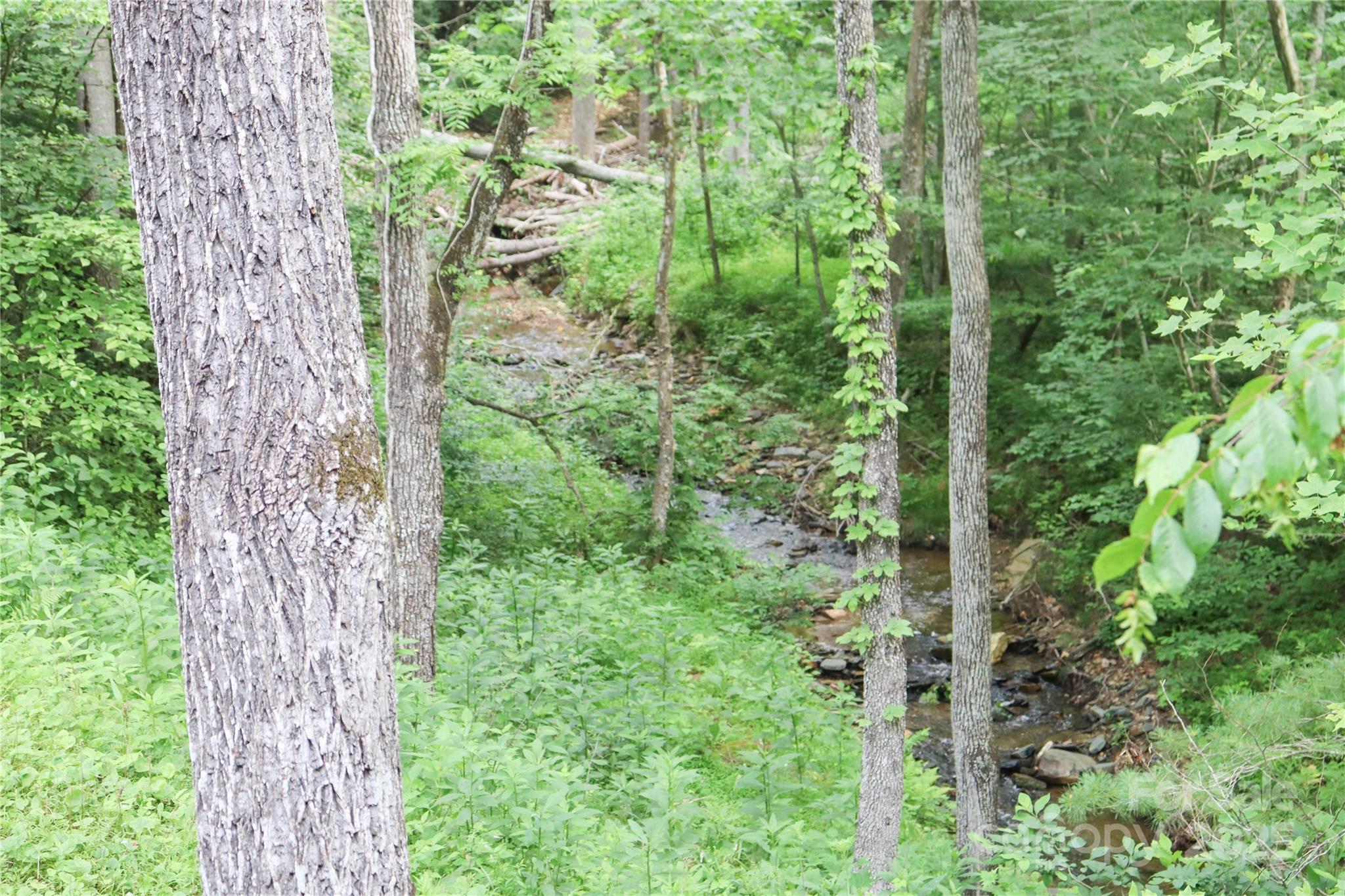 459 Old Yellow Mountain Road Marion NC 28752