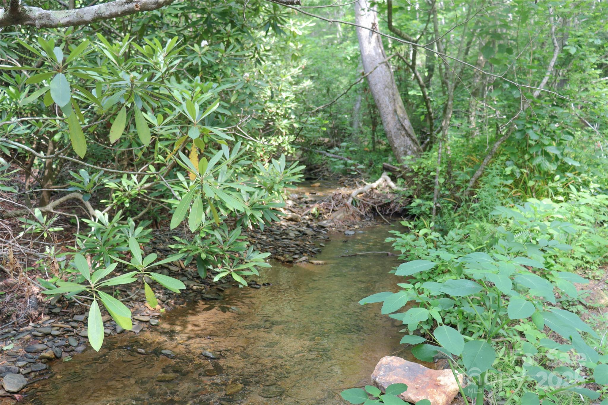 459 Old Yellow Mountain Road Marion NC 28752
