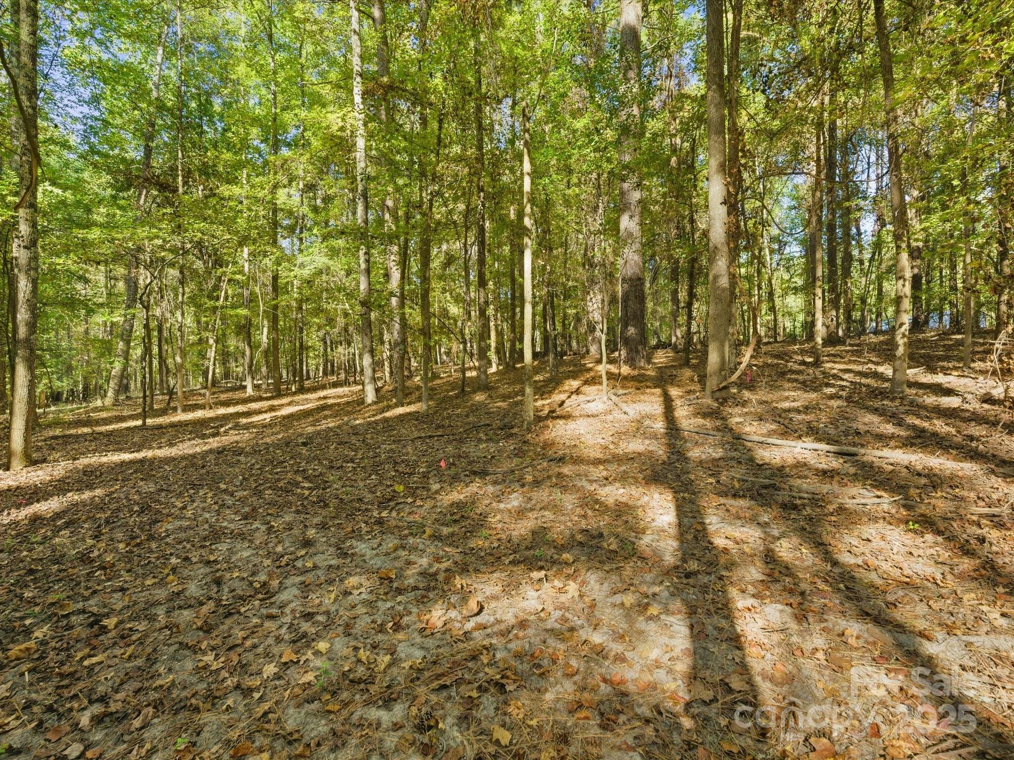 00 Rehobeth Road Waxhaw NC 28173