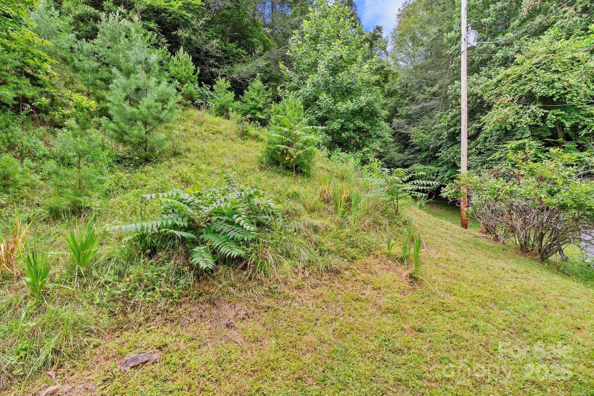 530 Rebel Ridge Road Marshall NC 28753