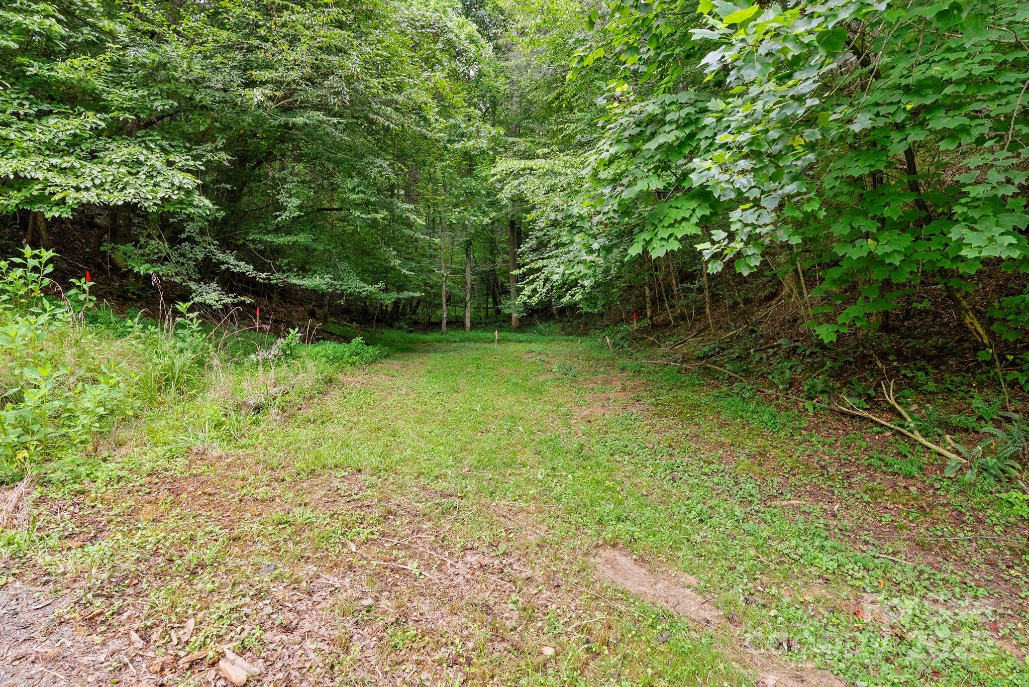 530 Rebel Ridge Road Marshall NC 28753