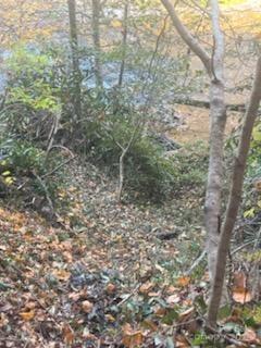 530 Rebel Ridge Road Marshall NC 28753