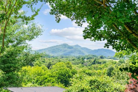 35 Good Intentions Road Asheville NC 28806