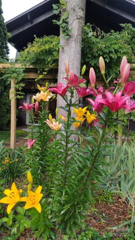 35 Good Intentions Road Asheville NC 28806