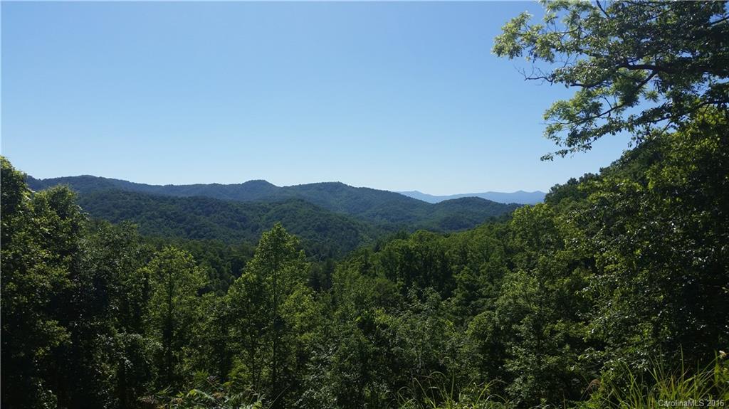 20 Snowball Drive Marshall NC 28753