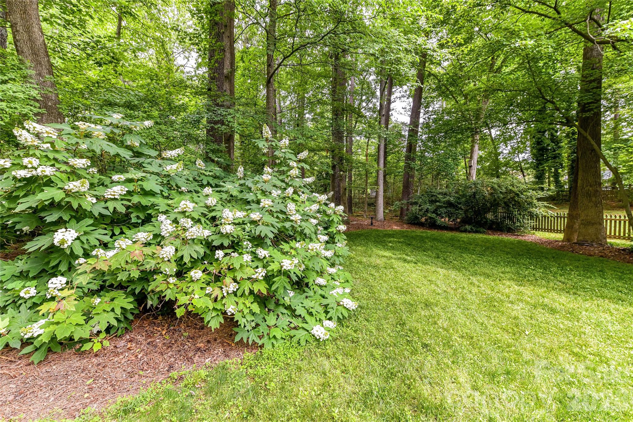 231 Pat Stough Lane Davidson NC 28036