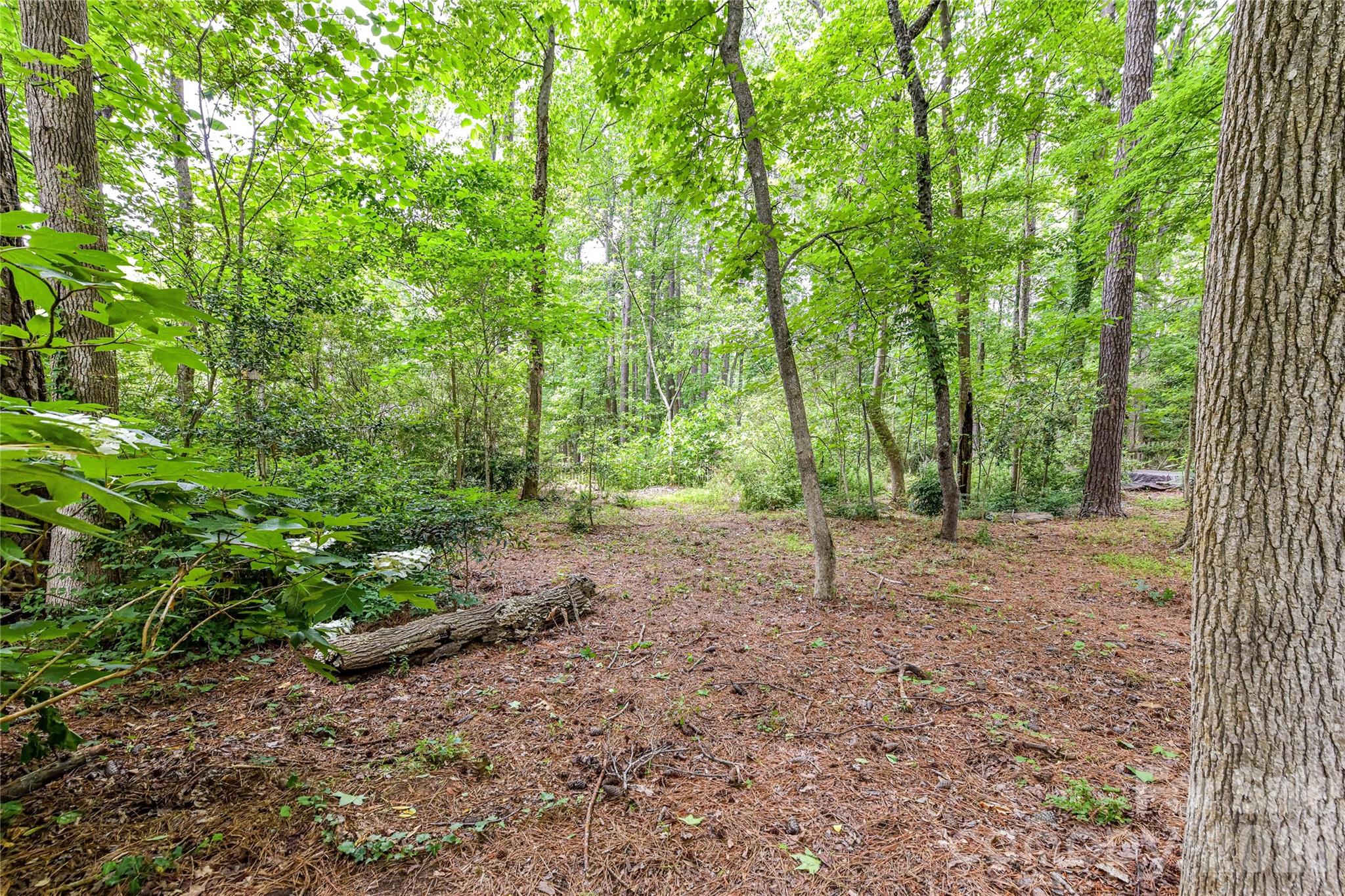 231 Pat Stough Lane Davidson NC 28036