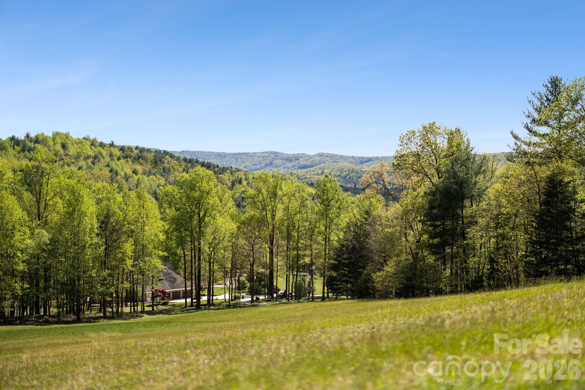 5712 Summit Road Purlear NC 28665