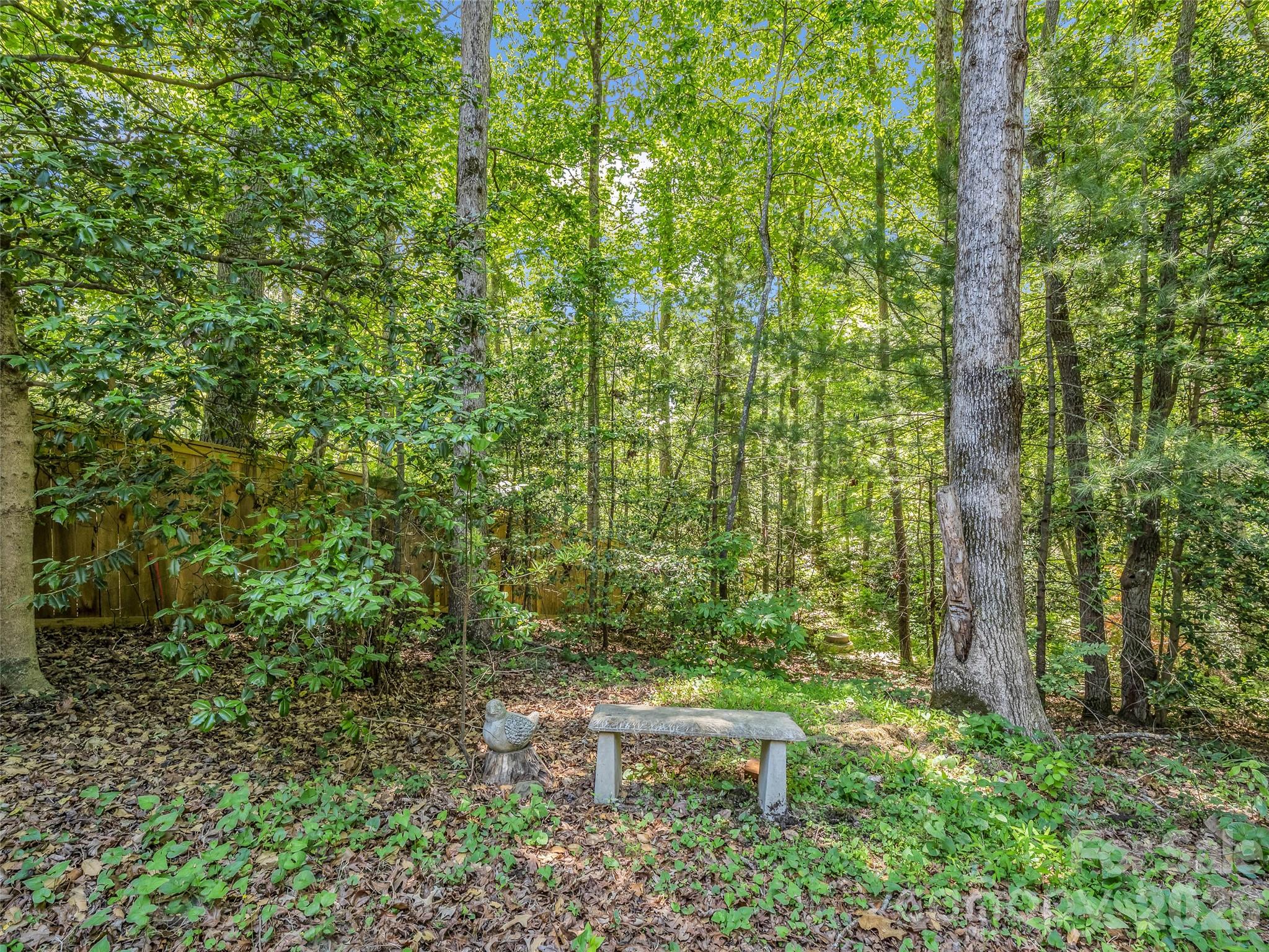 1042 Columbine Road Asheville NC 28803