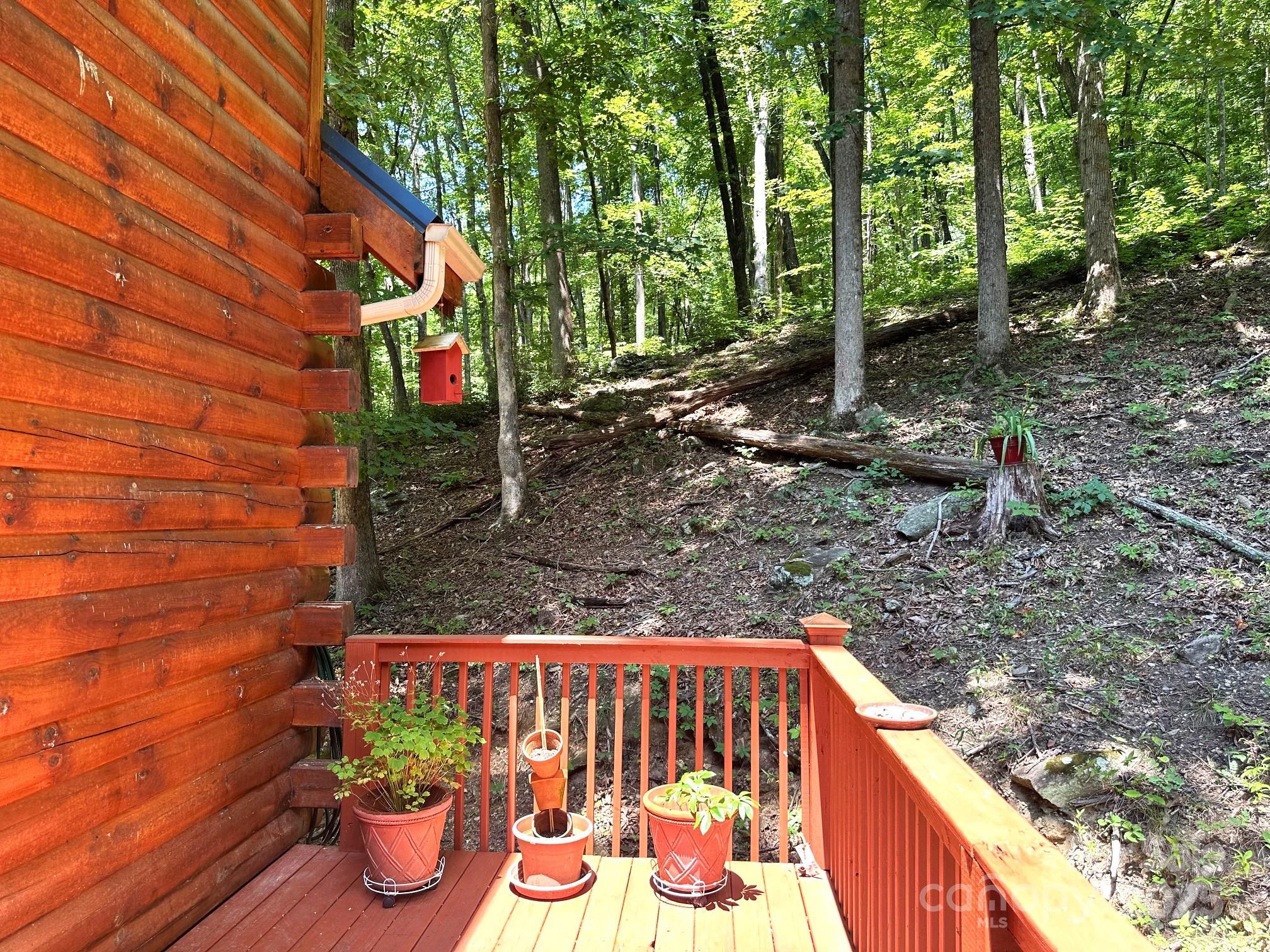 184 N Poplar Drive Lake Lure NC 28746