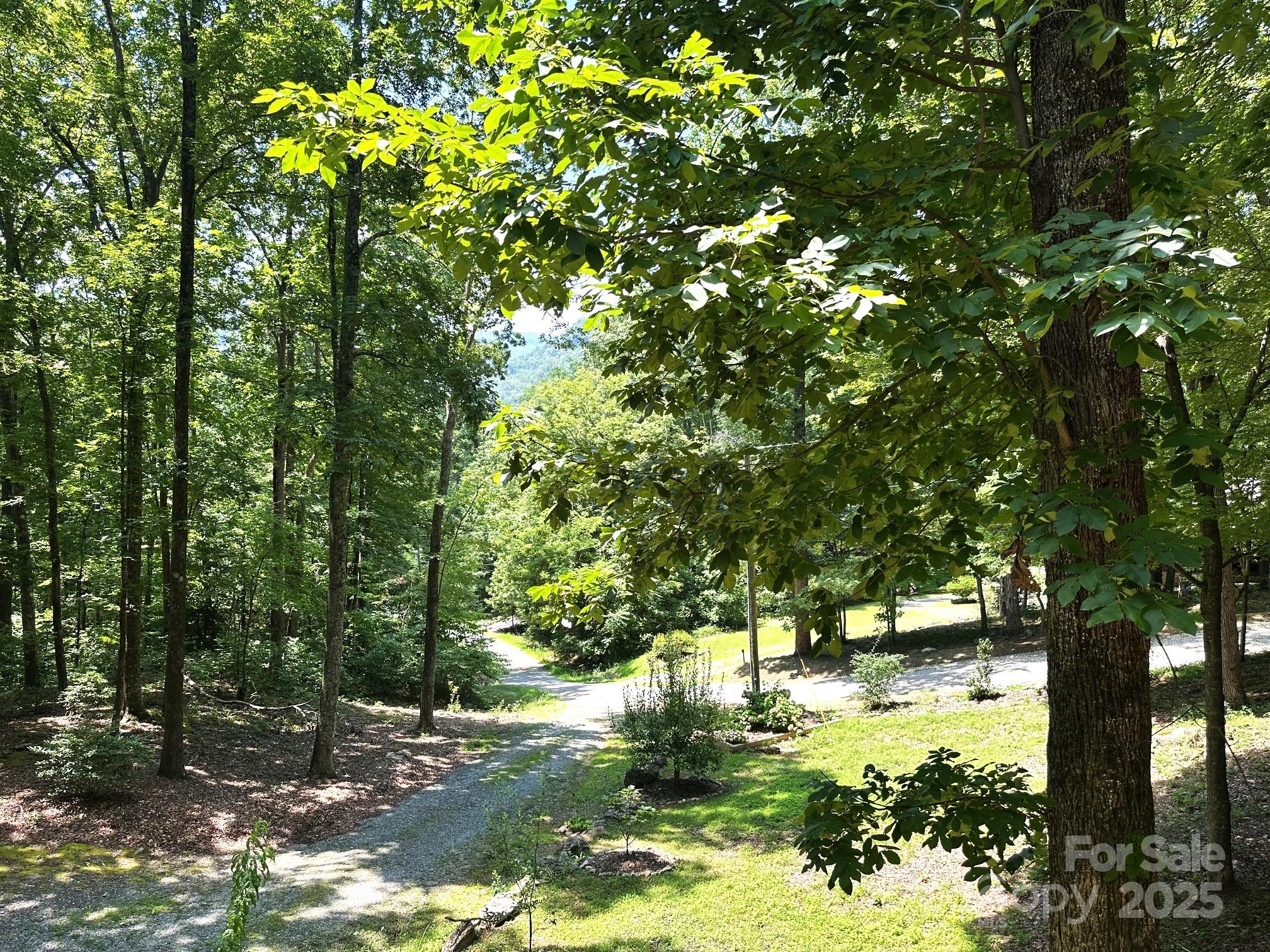 184 N Poplar Drive Lake Lure NC 28746